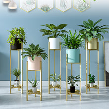 Load image into Gallery viewer, Wappack AuraPlanters