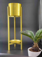 Load image into Gallery viewer, Wappack AuraPlanters
