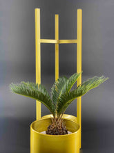 Load image into Gallery viewer, Wappack AuraPlanters
